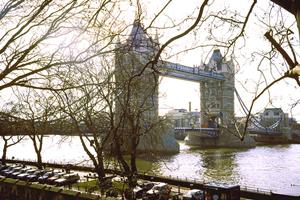 絶対外さない！ブータンツアーの魅力と成功するための完全ガイド