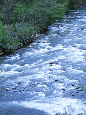 小豆島にはフェリーに車を乗せて行こう