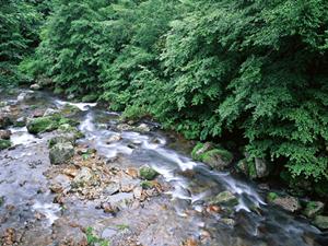 長野県の四季が楽しめる白馬村のホテル