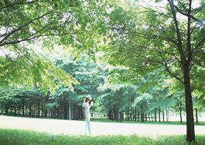 石川金沢の宿泊便利!東横INN金沢駅東口の魅力と詳細ガイド