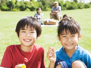 京都観光に最適!東横INN京都二条城南の魅力とホテル詳細ガイド
