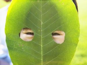 大阪観光とビジネス出張に最適な東横INN京橋桜ノ宮:快適な宿泊体験を提供するホテル