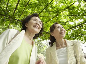 お薦めのシュノーケリングツアー