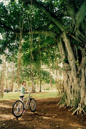 大阪方面からの小豆島観光におすすめ