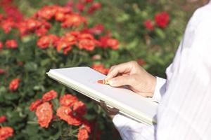 皆生温泉に泊まるなら菊萬がおすすめ