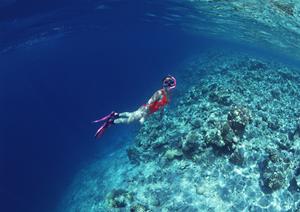 鹿児島中央駅西口から徒歩1分の快適ビジネスホテル|東横INN鹿児島中央駅西口の特徴と魅力