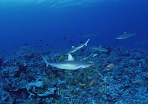 滋賀県米原市のビジネスホテルの決定版【東横INN米原駅新幹線西口】:快適な宿泊と便利なアクセスを実現