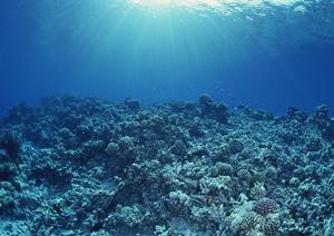 福生駅から徒歩1分!東横INN福生駅前東口の快適な滞在をあなたに