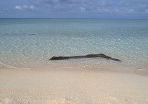 山口市のビジネスホテル:東横INN新山口駅新幹線口の魅力と詳細情報