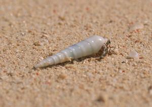 東京都大森のビジネスホテル【東横INN大森】|アクセス・設備・予約情報