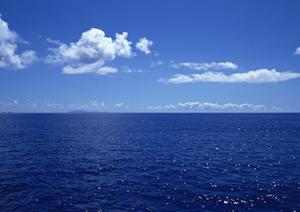 静岡県浜松市のビジネスホテル:東横INN浜松駅北口の魅力と特徴