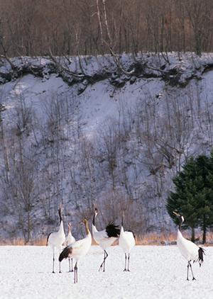 山口県下関市のビジネスホテルなら東横INN下関海峡ゆめタワー前|快適な宿泊と便利なアクセスを提供
