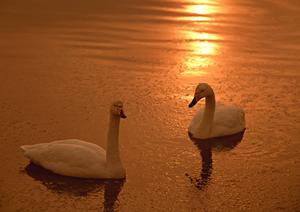 金沢にいったら体験学習をしてみよう