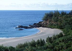 石垣島の魅力満載!自然体験と地元文化を楽しむアクティビティ完全ガイド