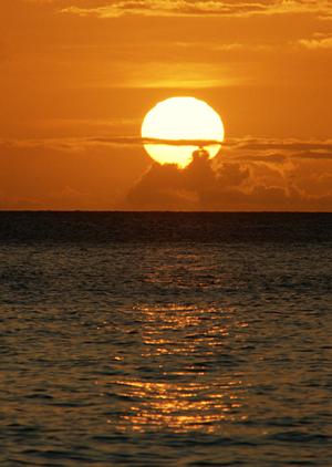 別府温泉 竹と椿のお宿 花べっぷ – 至福の温泉体験を提供する宿泊施設