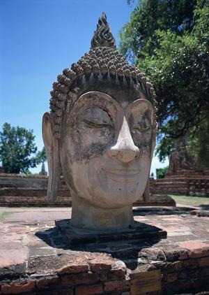 宮城・仙台のビジネスホテル【東横INN仙台東口2号館】徹底ガイド