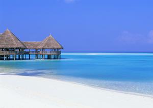 札幌駅北口徒歩3分!東横INN札幌駅北口の魅力と詳しい情報解説