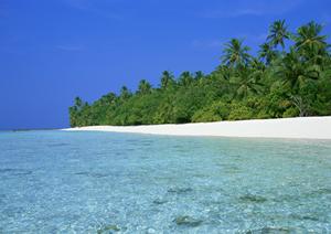 松戸駅近くのビジネスホテル「東横INN松戸駅東口」の魅力と詳細情報