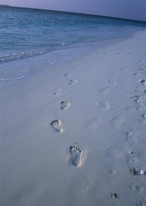 帯広駅から徒歩3分の快適ビジネスホテル【東横INNとかち・帯広駅前】全ての利用者に満足を提供する魅力的な宿泊施設