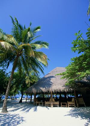 調布市で快適な宿泊体験を提供する東横イン調布京王線布田駅|ビジネス・観光に最適なホテル予約ガイド