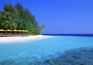 東横INN新高岡駅新幹線南口|富山県高岡市のビジネスホテルの魅力と詳細情報