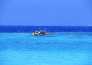 大阪・梅田エリアに位置するビジネスホテルの魅力:東横INN大阪梅田東の特徴と利点