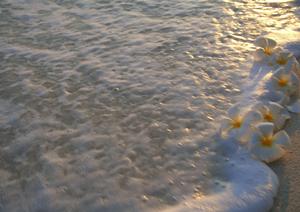 八方尾根のスキーツアーに強いSTO