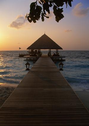 北朝霞駅西口そばの便利なビジネスホテル:東横INN北朝霞駅西口の魅力と詳細ガイド