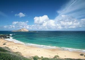 ローカルビーチでサーフィンをしよう