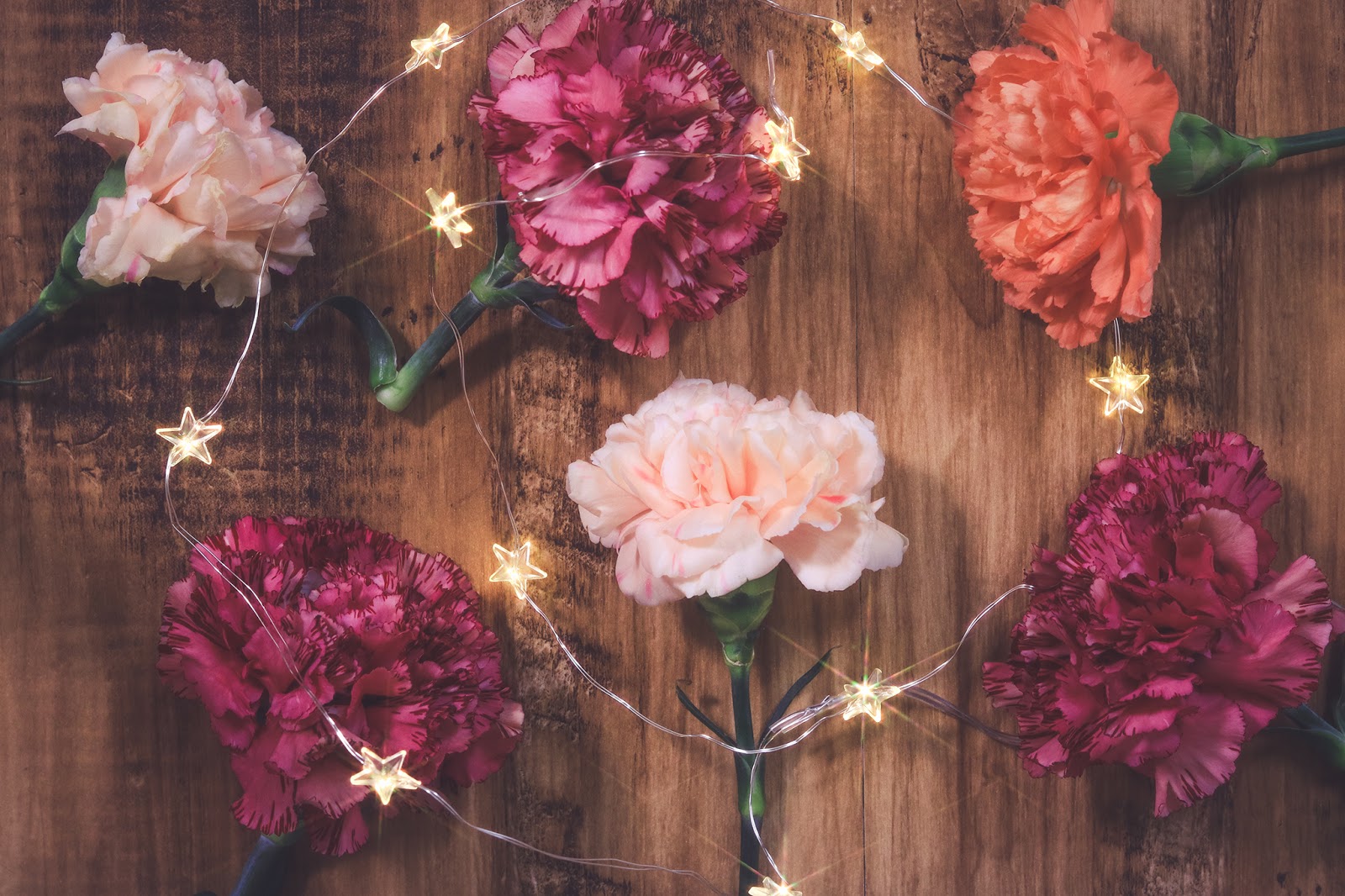 マリンスポーツを使ってみよう